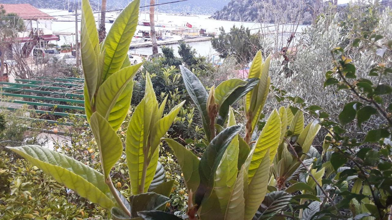 Cennet Pansiyon Hotel Kaleucagiz Luaran gambar